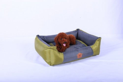 歐佩貝貝寵物用品 給寵物baby們貼心呵護